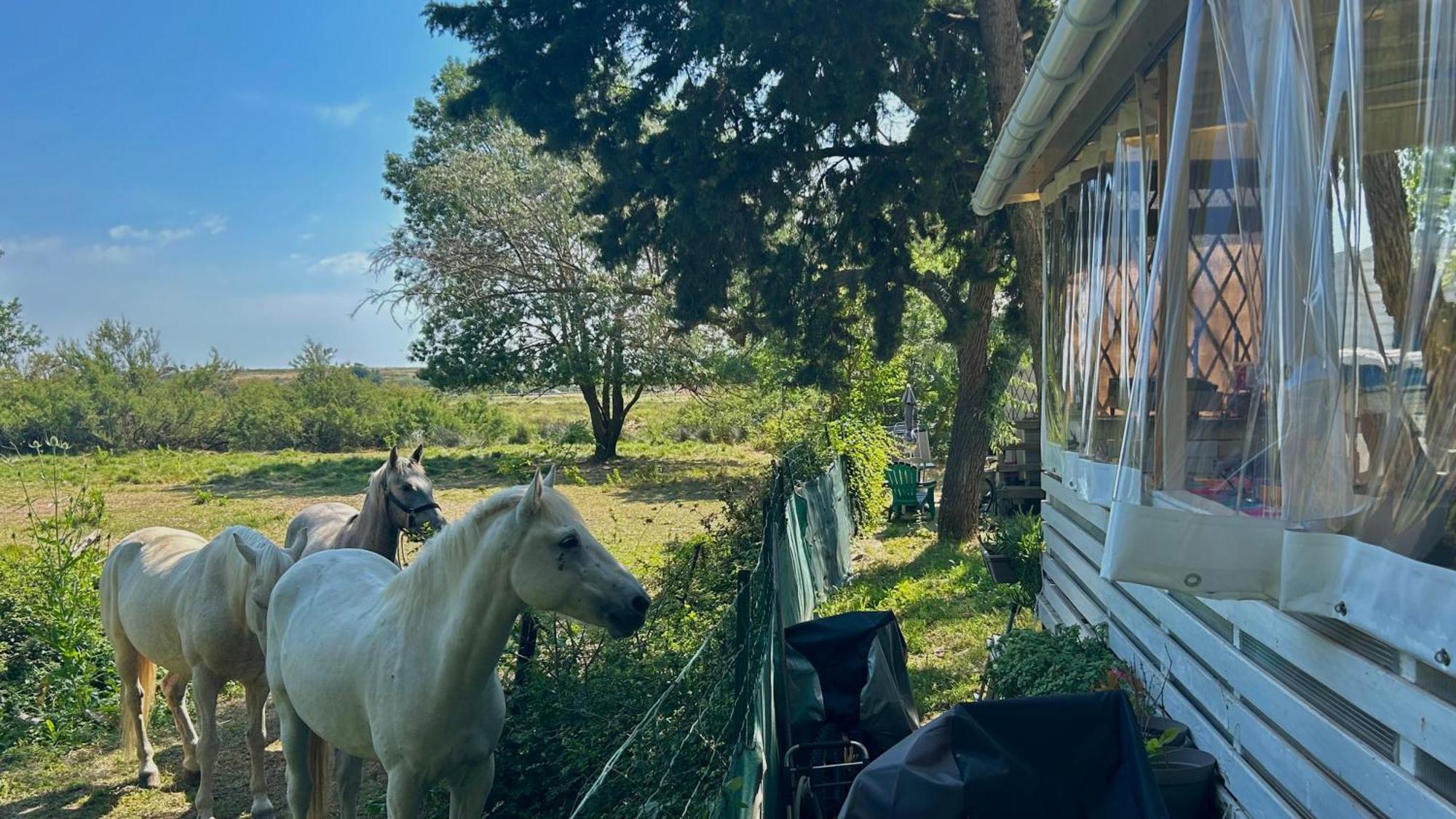 Camping De L'Arnel Villeneuve-lès-Maguelonne Buitenkant foto